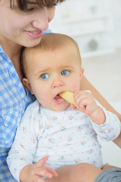 Mother feeding her young — Stock Photo, Image