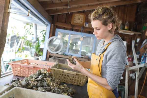Hermoso empleado de la tienda venta de ostras frescas — Foto de Stock