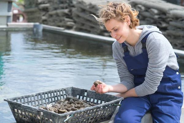 Female oyster farmer washing oysters in basket — Stock Photo, Image