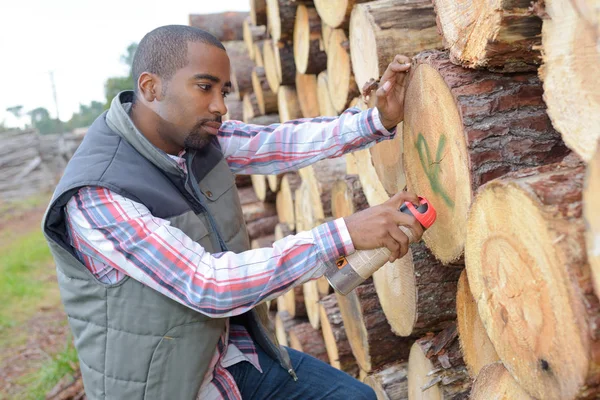 Uomo che spruzza il marchio di identificazione sul tronco d'albero — Foto Stock
