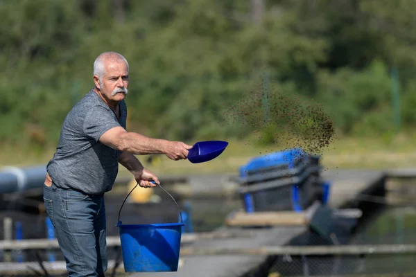 Oude man voeding vissen — Stockfoto