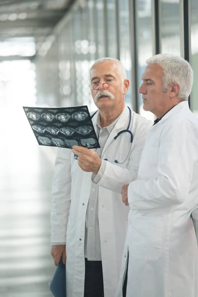 Two senior doctors looking at xrays — Stock Photo, Image