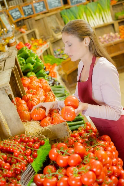 Помічник магазину з сортування помідорів — стокове фото