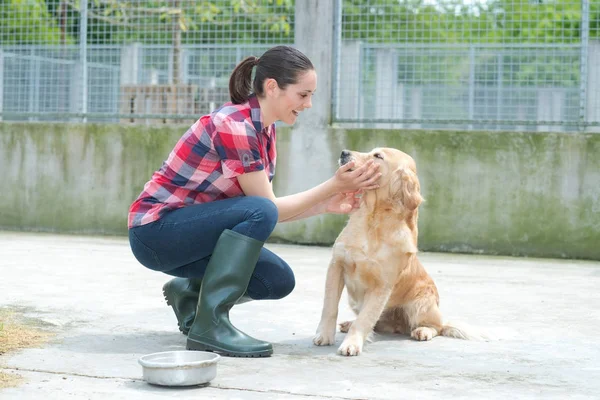 Тваринний притулок волонтер, що годує собак — стокове фото