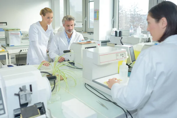 Equipe de pesquisa médica e farmacêutica — Fotografia de Stock