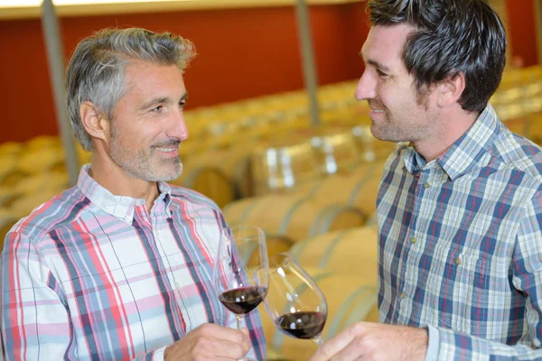 2 つの男性ワイン ガラスにワイナリーのセラーでワインの試飲 — ストック写真