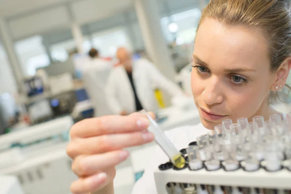 Tubos de laboratorio con líquido amarillo — Foto de Stock