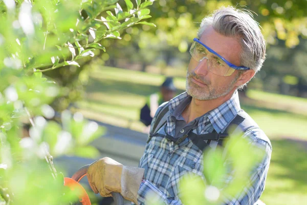 Tuin onderhoud in uitvoering — Stockfoto