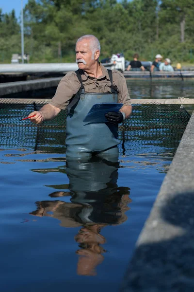 Senior Veterinär in Fischzucht — Stockfoto