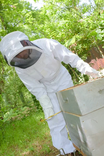 Mann öffnet Bienenstock und Mensch — Stockfoto
