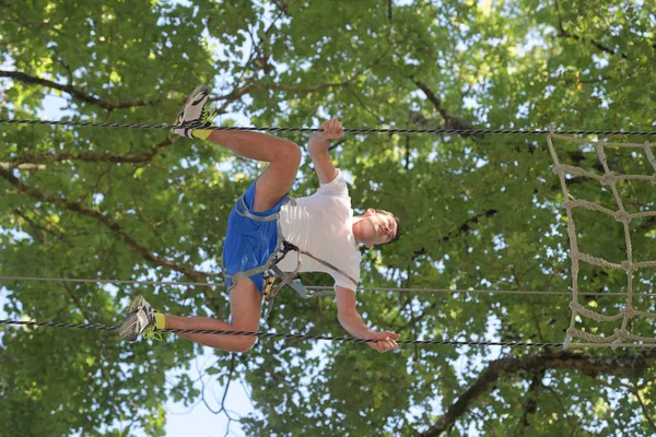 Kletterseile in den Bäumen — Stockfoto