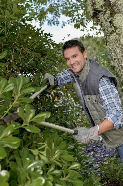 Noodzaak om trim de heggen — Stockfoto