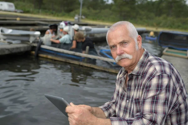 Senior férfi tabletta kereskedelmi hal farmon — Stock Fotó
