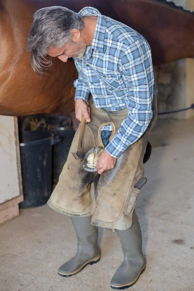 Attaching a hoof and work — Stock Photo, Image