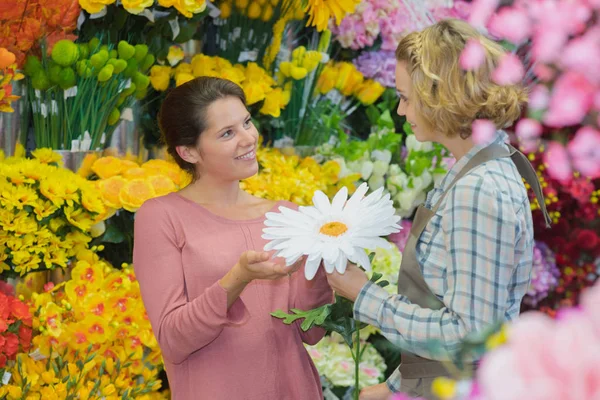 Die große Blume und die Arbeit — Stockfoto