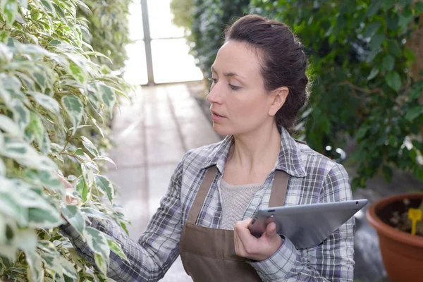 Mulher com planta de inspeção de comprimidos — Fotografia de Stock