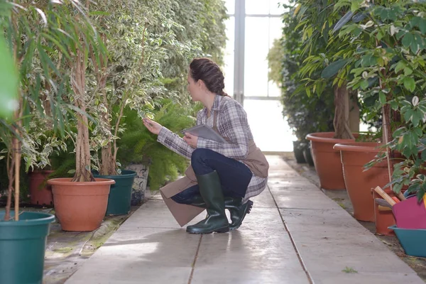 Vrouw controleren voorraden een in tuincentrum — Stockfoto