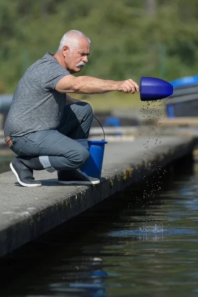 Alimentar a los peces y al hombre —  Fotos de Stock