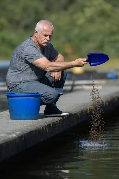 Pescador alimentando peixes e homem — Fotografia de Stock