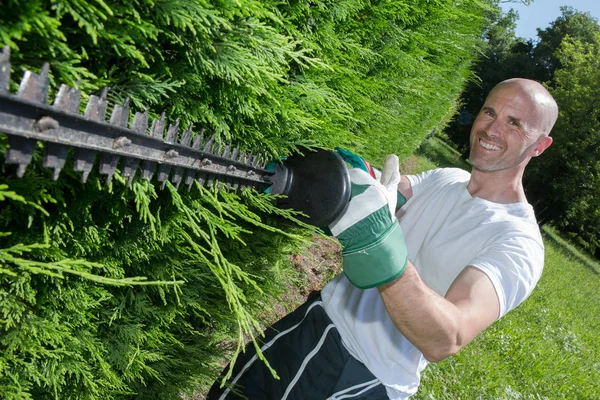 Man cutting a hedge — Stock Photo, Image