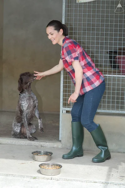 Engagiertes Mädchen trainiert Hund im Zwinger — Stockfoto