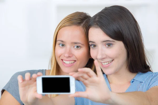 Dos chicas divertidas muy jóvenes amigos sonriendo y haciendo selfie —  Fotos de Stock