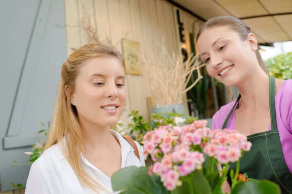 Bloemist met klant en regeling — Stockfoto