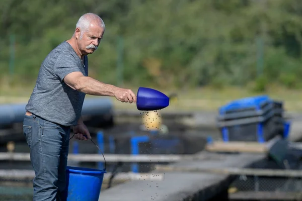 Senior-Fischzüchter streut Produkt ins Wasser — Stockfoto