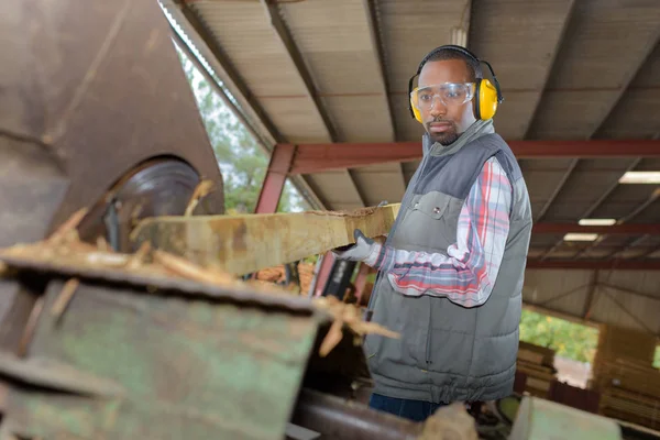 Cutting and preparing the wood — Stock Photo, Image