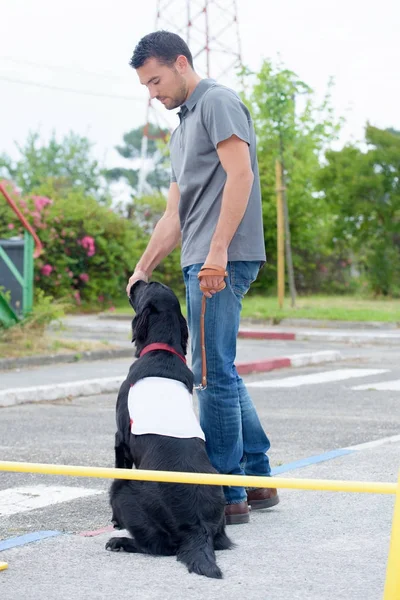 Manipulador de cães no trabalho — Fotografia de Stock