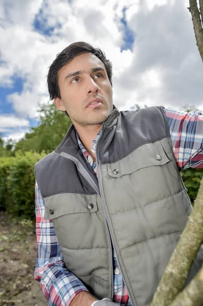 Man working outdoors with branches — Stock Photo, Image