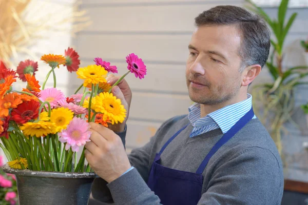 Manliga florist att arrangera blommor i kruka — Stockfoto