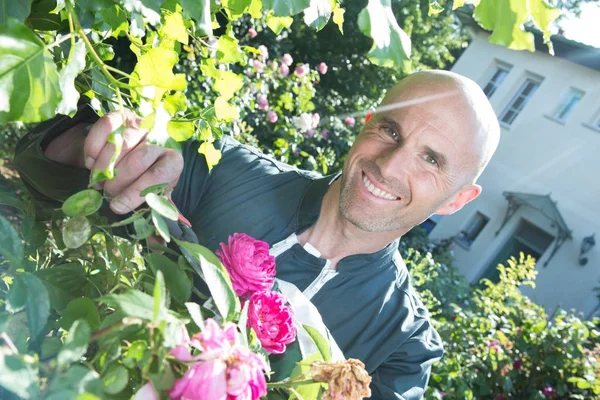 Hombre feliz cortando flores en el jardín — Foto de Stock