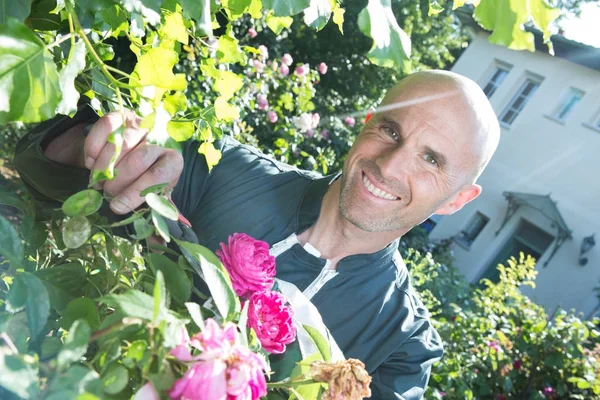 Gelukkig man snijden bloemen in de tuin — Stockfoto