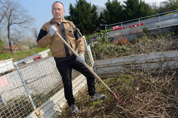 Kratta löv på hösten — Stockfoto