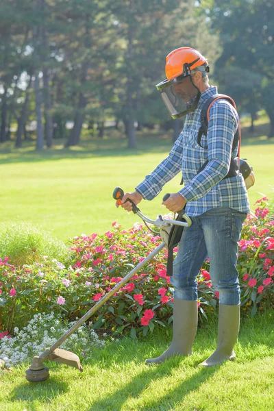 Gardener strimming e strimmer — Fotografia de Stock