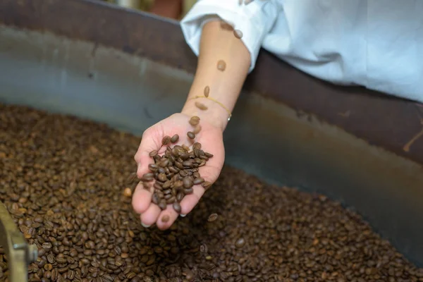 Le café biologique et le café — Photo