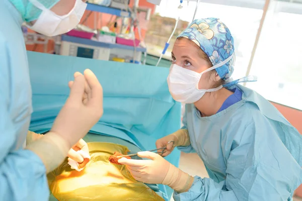 Artsen te praten tijdens de operatie — Stockfoto