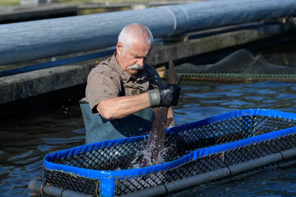 Fischer Handfischen und Mann — Stockfoto