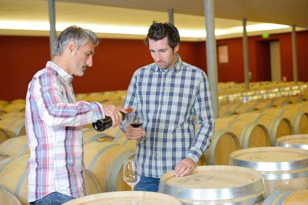 Crianza de vinos en la bodega — Foto de Stock