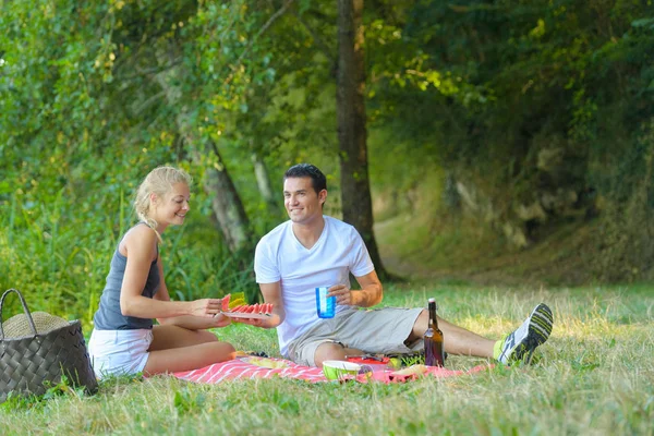 Pareja en un agradable picnic —  Fotos de Stock