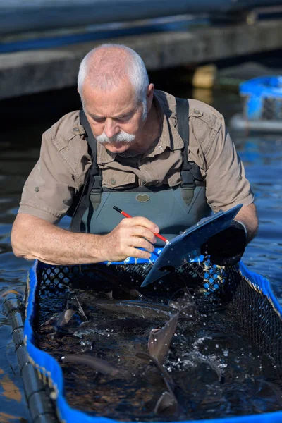 Peixes em galinheiro de pescador em piscicultura — Fotografia de Stock