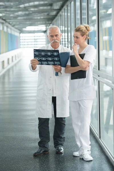 Enfermeira perguntando ao médico sobre o resultado da radiologia — Fotografia de Stock