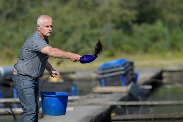 Man verstrooiing voedsel in commerciële vis behuizing — Stockfoto