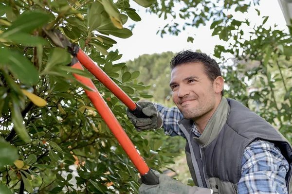 Tuinman hard aan het werk — Stockfoto