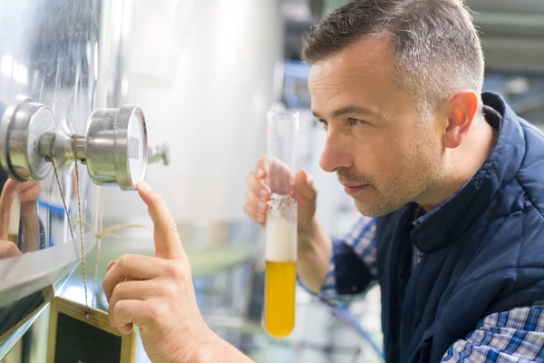 Fabricante segurando copo de cerveja na cervejaria — Fotografia de Stock