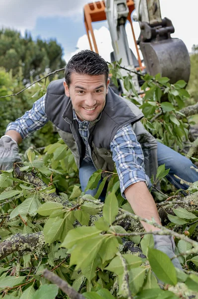 Tuinman onder takken en takken — Stockfoto