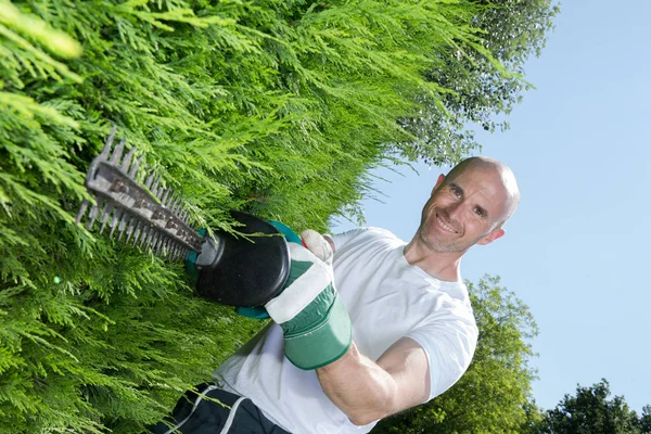 Man snijden een hedge — Stockfoto