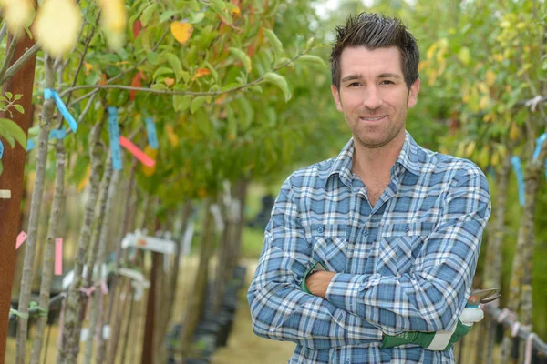 Retrato del hombre entre árboles frutales — Foto de Stock