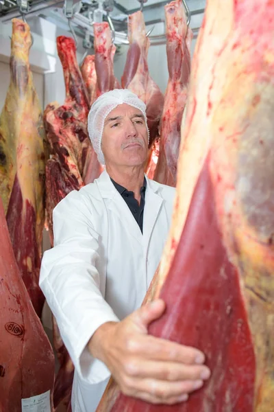 Carnicero evaluando canal animal —  Fotos de Stock
